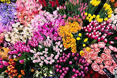 任天堂Switch超越NDS 成为日本销量最高的游戏机